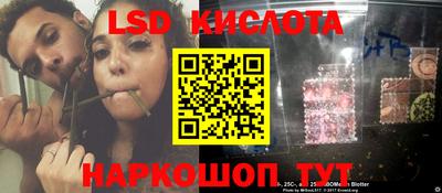 гидра Гусев
