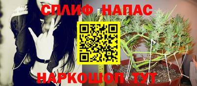 гидра Гусев